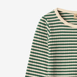 Wheat Main Body L/S Berti Body 4142 green stripe