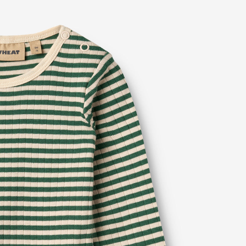 Wheat Main Body L/S Berti Body 4142 green stripe