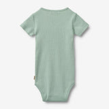 Wheat Main Kortermet Body Edvald Body 3217 green pool