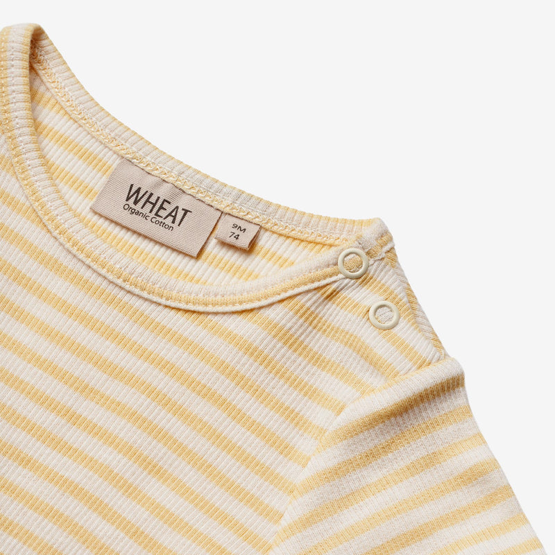 Wheat Main  Body S/S Elisa Underwear/Bodies 5002 pale apricot stripe