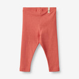 Wheat Main  Rib Leggings Maddy | Baby Leggings 2020 faded rose