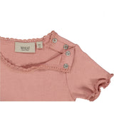 Ribbet T-skjorte Lace SS - rosie