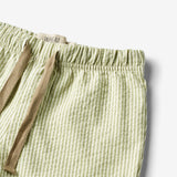 Wheat Main  Shorts Milton Shorts 4142 green stripe