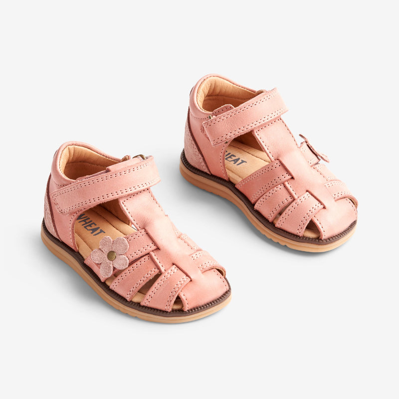 Wheat Footwear Sky Sandal Blomst | Baby Prewalkers 2026 rose