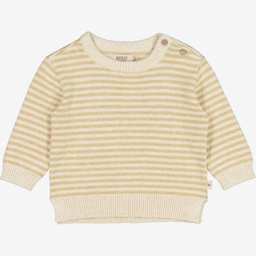 Wheat Main  Strikket Genser Morgan | Baby Knitted Tops 9307 seeds stripe