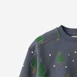 Wheat Main Sweatshirt Sandro Sweatshirt 9586 greyblue holiday