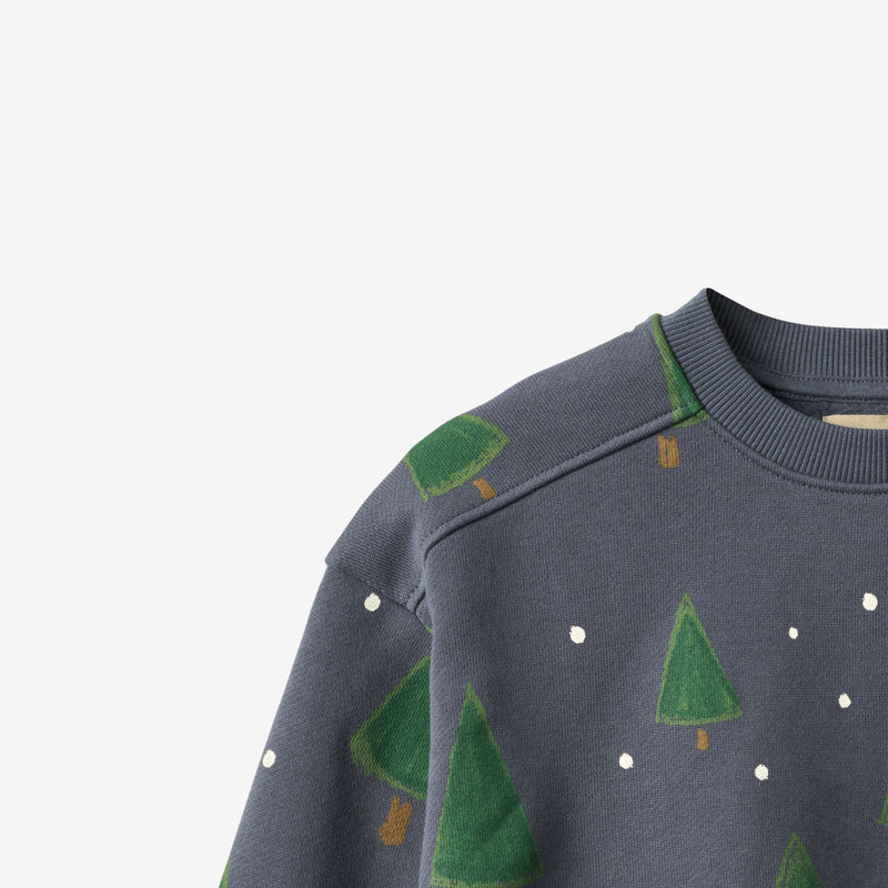 Wheat Main Sweatshirt Sandro Sweatshirt 9586 greyblue holiday
