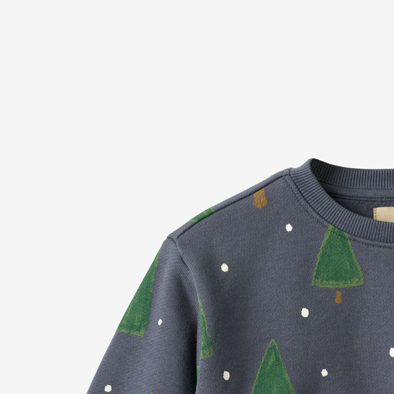 Wheat Main Sweatshirt Sandro Sweatshirt 9586 greyblue holiday
