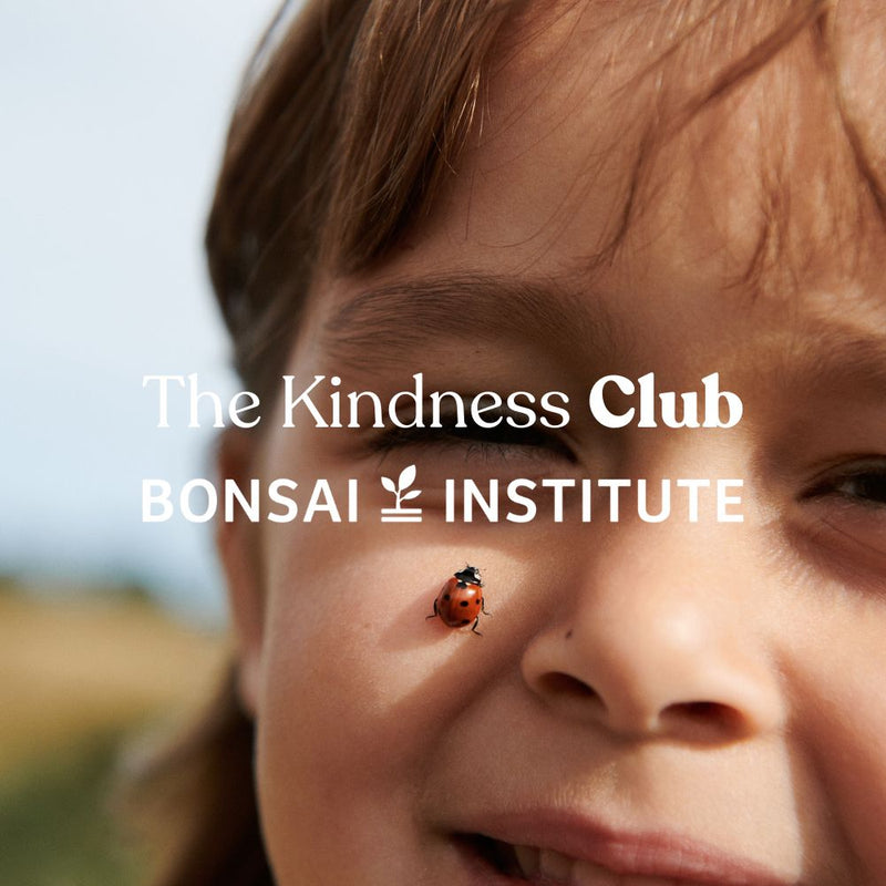 Wheat Main The Kindness Club & Bonsai Institute Accessory The Kindness Club