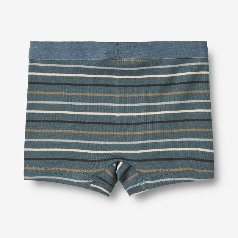 Wheat Main Undertøy for ham Underwear/Bodies 9547 blue multi stripe