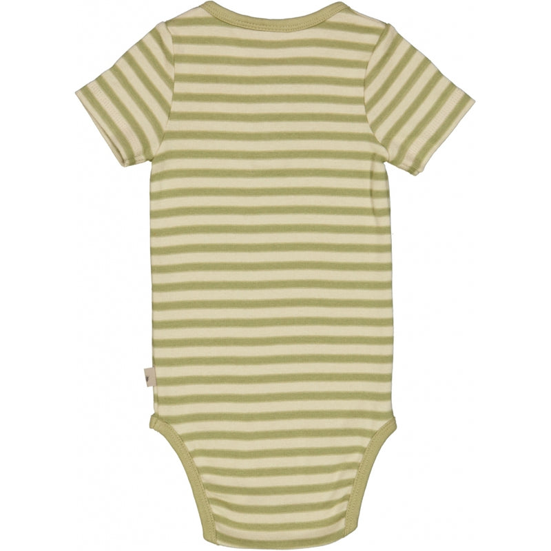 Wheat Main Body Placket SS Underwear/Bodies 4142 green stripe