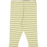 Wheat Jersey Pants Silas Leggings 4142 green stripe