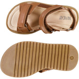 Wheat Footwear Kasima sandal Sandals 5304 amber brown