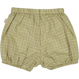 Wheat Shorts Olly Shorts 4141 green check
