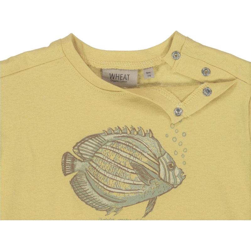 Wheat T-Shirt Fish Jersey Tops and T-Shirts 5501 moonstone