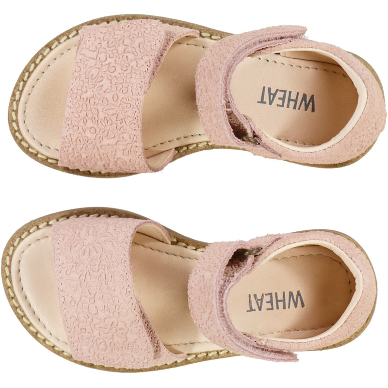 Wheat Footwear Tasha sandal Sandals 2025 rose sand